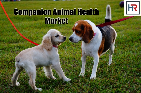 Companion Animal Health Market